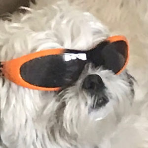 Meet your Posher, Aj drawbaugh